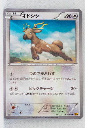 XY9 Rage of Broken Heavens 067/080 Stantler 1st Edition