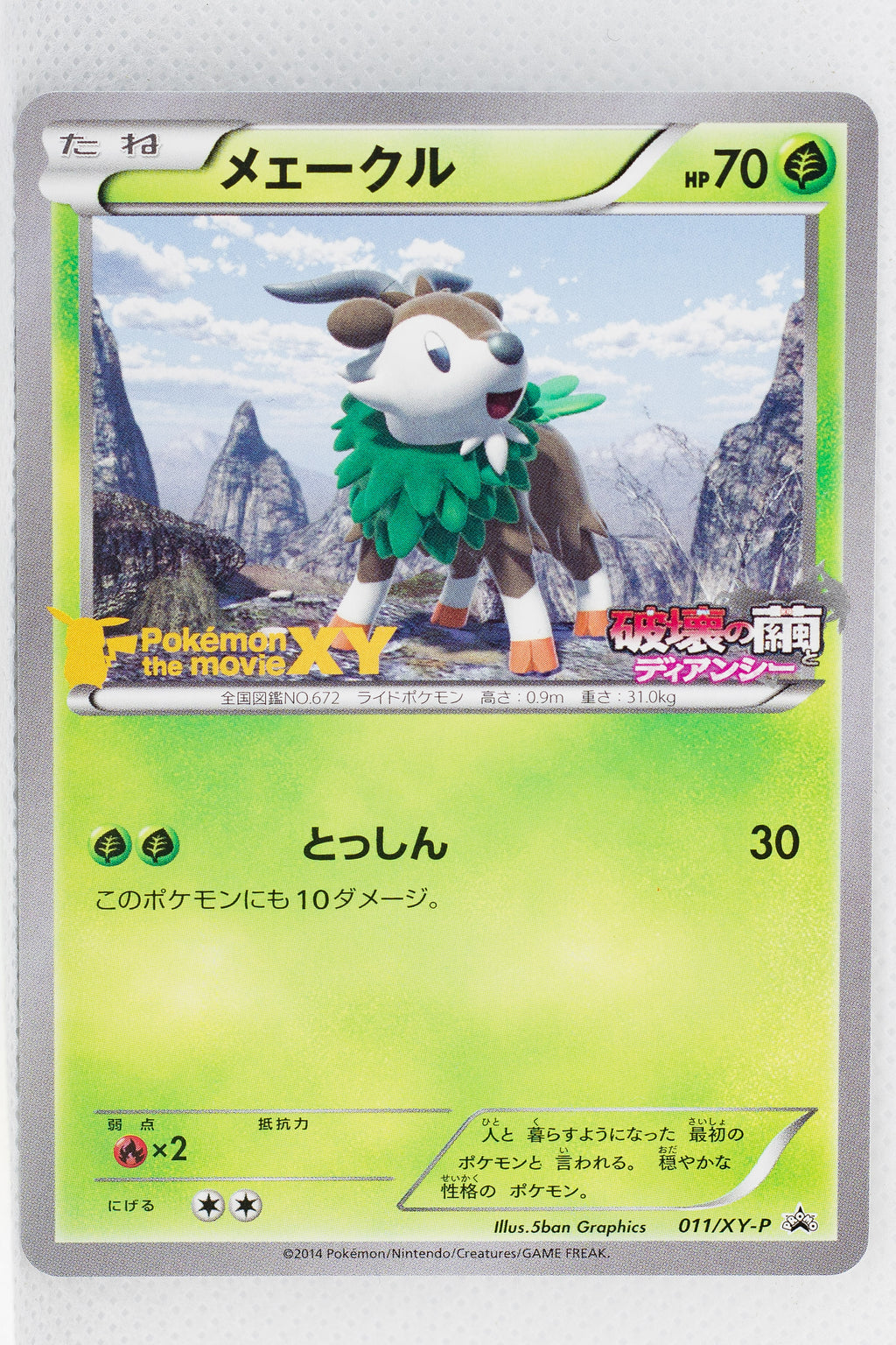 011/XY-P Skiddo XY Summer 7-11 Campaign