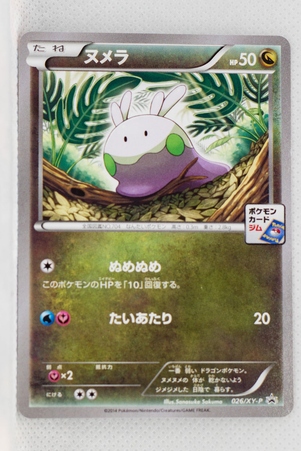 026/XY-P Goomy February 2014-April 2014 Pokémon Card Gym Pack