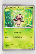 034/XY-P Chespin Black Mega Gardevoir Campaign (June 17, 2016)
