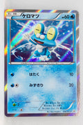 036/XY-P Froakie Lizardon Mega Battle Mega Pack Holo