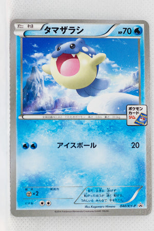 040/XY-P Spheal May 2014-July 2014 Pokémon Card Gym Pack