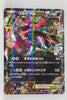 044/XY-P Krookodile EX May 2014-July 2014 Pokémon Card Gym Pack Holo