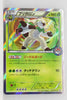 071/XY-P Chesnaught Pokémon Centre Card Game Summer Vacation Present Campaign Holo