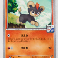 081/XY-P Litleo October 2014-November 2014 Pokémon Card Gym Pack