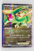 114/XY-P Flygon EX February 2015-April 2015 Pokémon Card Gym Pack Holo