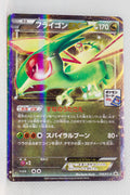 114/XY-P Flygon EX February 2015-April 2015 Pokémon Card Gym Pack Holo