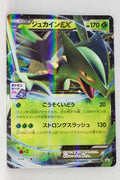 163/XY-P Sceptile EX Pokémon Card Gym M Master Deck Build Box Competition Meeting Participation Prize Holo