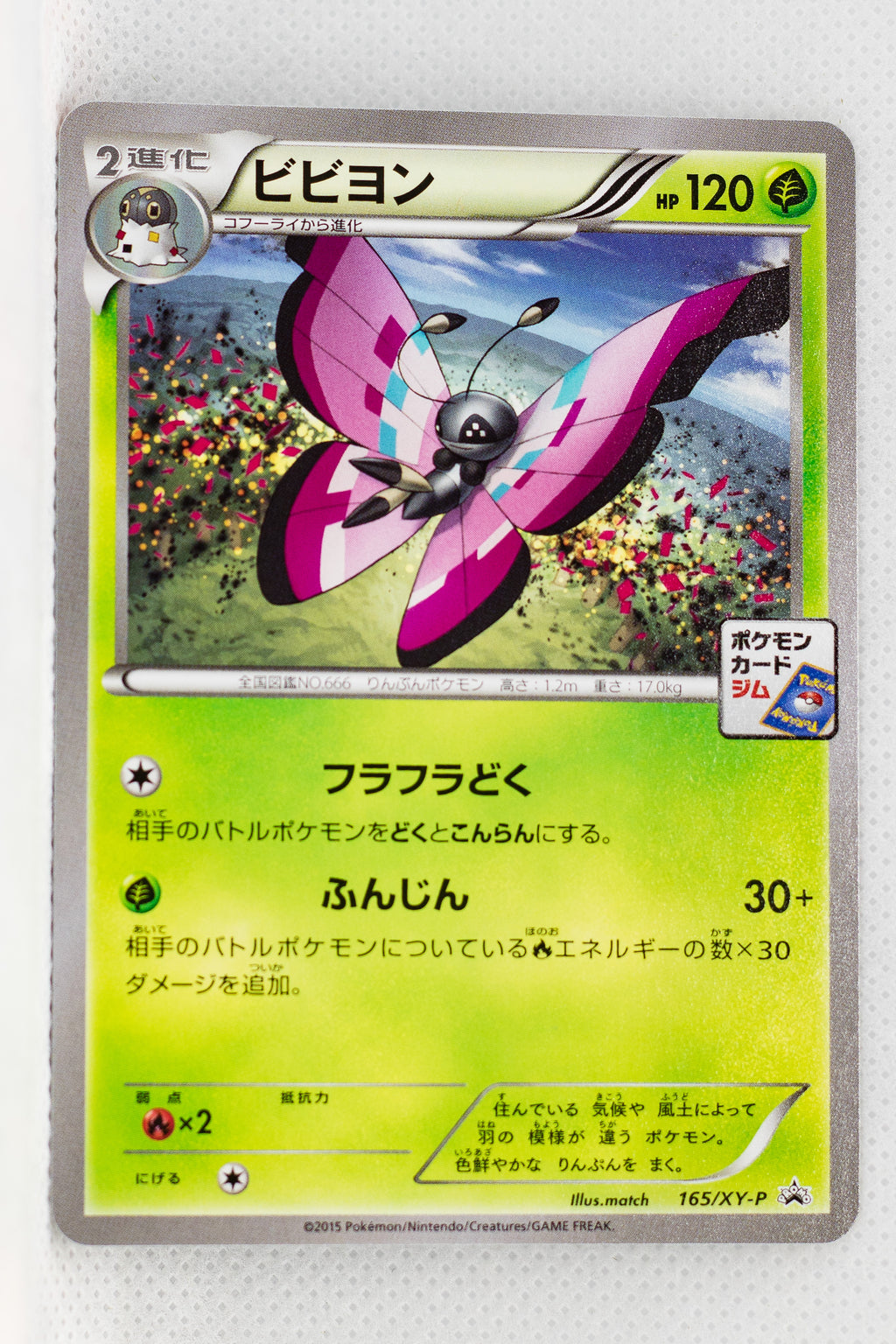 vivillon pokemon card 165/XY-P Vivillon November 2015-January 2016 Pokémon Card Gym Pack