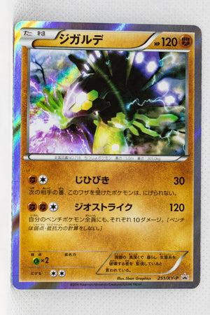 251/XY-P Zygarde	Special Pack: Zygarde Special Set Holo